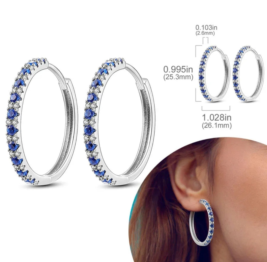 Blue Earrings