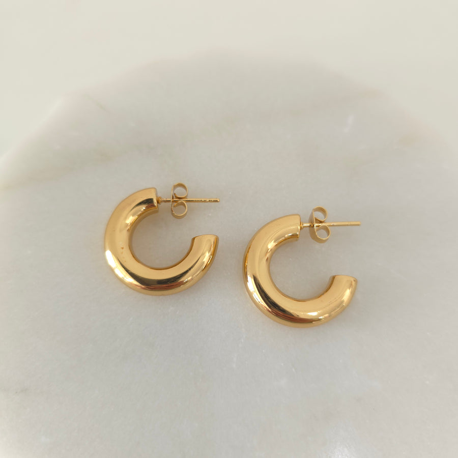 Tinny Classic Earrings